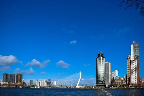 Erasmus-Brücke in Rotterdam