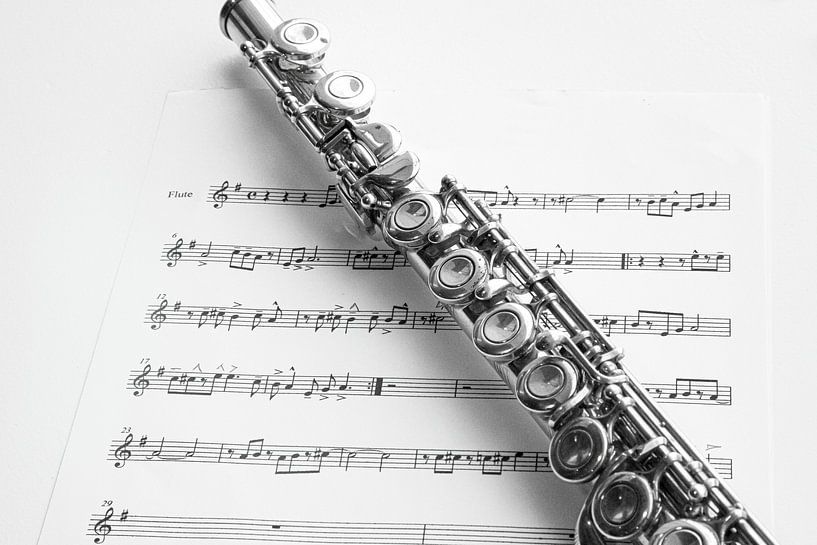 Querflöte und Noten, in schwarz-weiß von Gert Hilbink