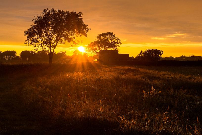 Sunset in Hillegom, Netherlands. by Alexander Schippers