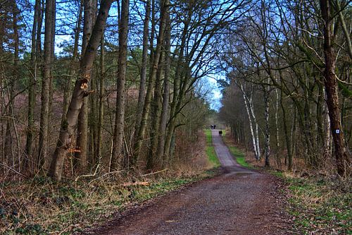 Ruiterpad