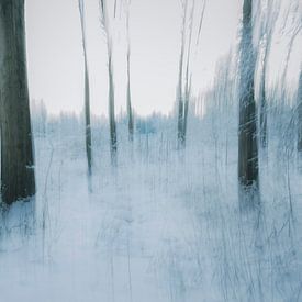 1 Symphonie du silence (Rythme) sur Di Maio Fotografie