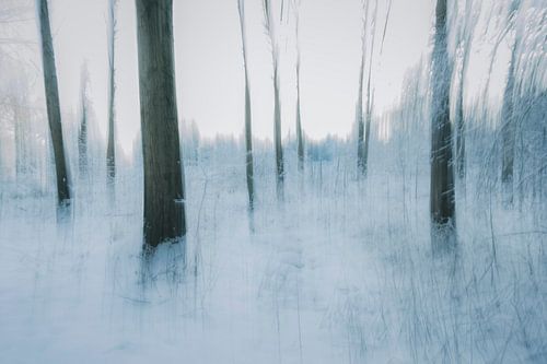 Symfonie van Stilte (Ritme)