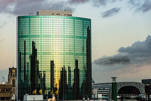 Spreeuwen boven de Markthal