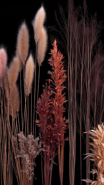 Les panaches d'herbes longues illuminés et les rayons de soleil dorés | Beauté de la nature par Karina Brouwer