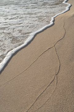 Spuren von Wellen im feinen Sand