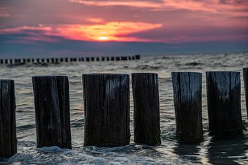 Houten kribben met de ondergaande zon in de Oostzee bij Zingst van David Esser