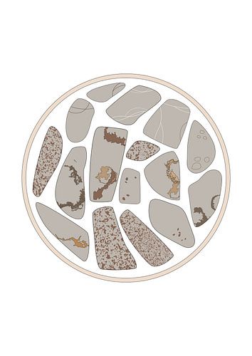 Stones found on the Beach two