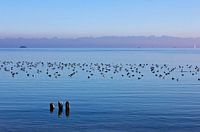 Evening atmosphere at Lake Constance