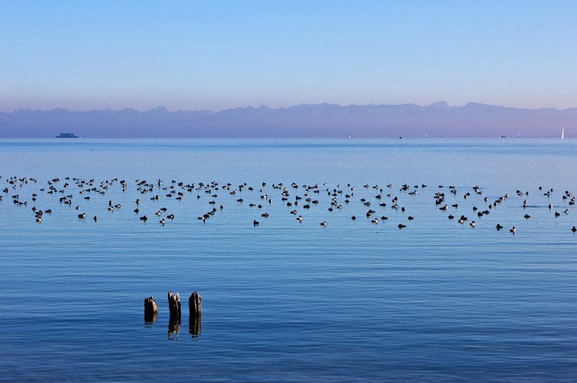 Evening atmosphere at Lake Constance by Anja B. Schäfer