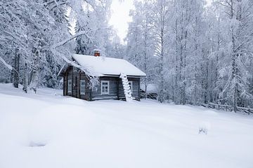 Besneeuwd houten huisje in winterlandschap van Martijn Smeets