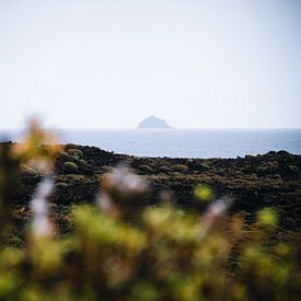 Vulkaanlandschap op Lanzarote van SomethingEllis