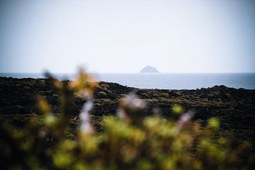 Vulkanische Landschaft auf Lanzarote von SomethingEllis