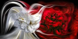 Abstract cross-pollination by Rob 't Hoen