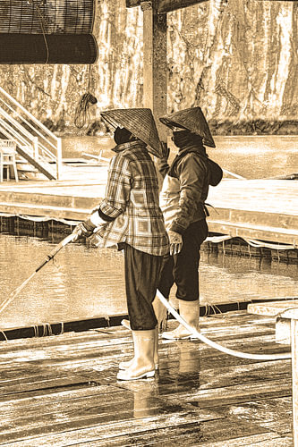 Oestervrouwen in de Ha Long Baai Vietnam Sepia