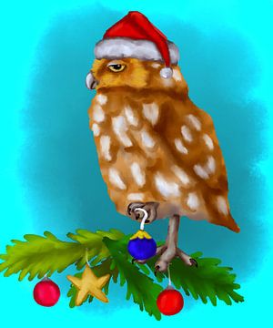 Christmas owl by Antiope33