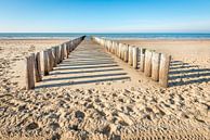 Dubbele rij houten palen op een leeg strand van Ruud Morijn thumbnail