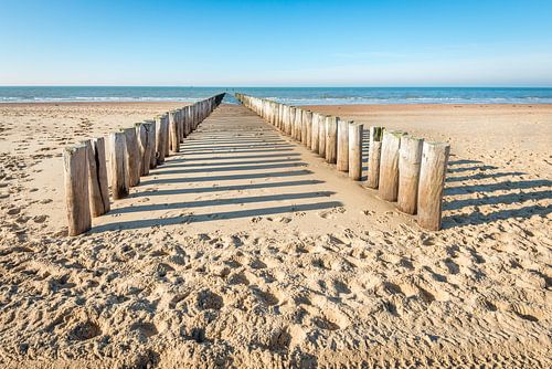 Double rangée de poteaux en bois sur une plage hollandaise vide
