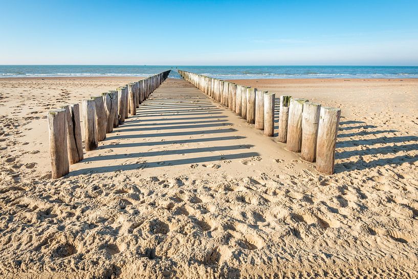 Doppelreihe von hölzernen Pfosten auf leerem niederländischem Strand von Ruud Morijn