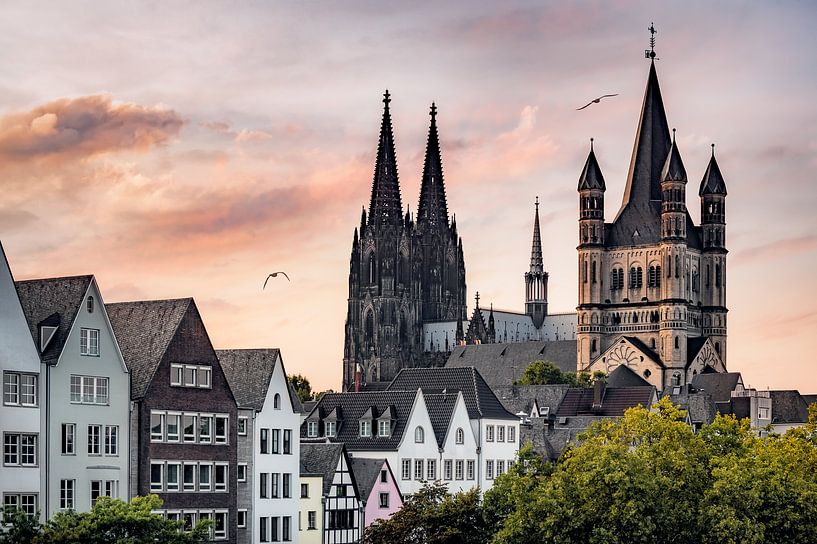 Scène urbaine de Cologne avec la cathédrale et le grand St Martinus par Leon Brouwer