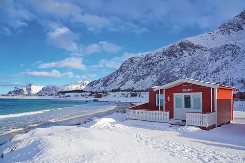 Winter in the Lofoten Islands