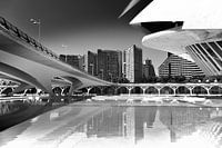 Urban Lines, Valencia (zwart-wit)