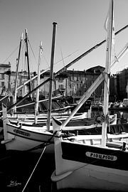 Die Fischerboote von Saint-Tropez