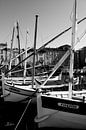 The fishing boats of Saint-Tropez by Tom Vandenhende thumbnail