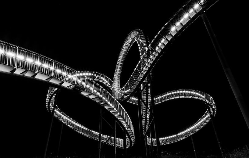 Der Tiger &amp; Turtle von T.B.- Foto
