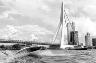 Rotterdam, Haven,  Deloitte kantoor, Erasmusbrug van Henriëtte Hoffs thumbnail