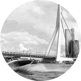 Rotterdam, Haven,  Deloitte kantoor, Erasmusbrug van Henriëtte Hoffs