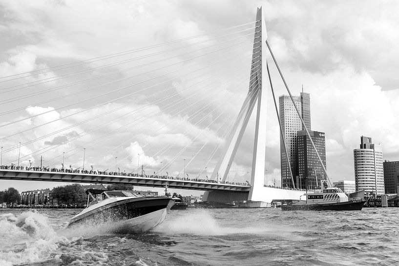 Rotterdam, Haven,  Deloitte kantoor, Erasmusbrug van Henriëtte Hoffs