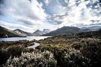 Bergmeer in Tasmanië