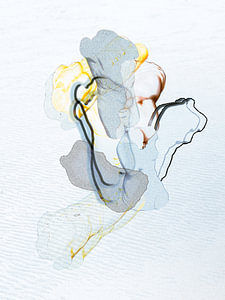 Kunst Torso Abstraktion Kunst