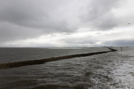 Bilder von Bensersiel und der Nordseeinsel Langeoog. von Bianca Meyering Fotos - BMF
