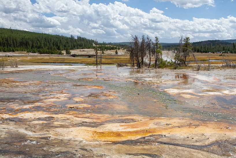 Parc national de Yellowstone par Anja Keks