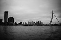 skyline Rotterdam met Erasmusbrug van Eugenlens thumbnail