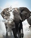 Elephant, Namibia by Thomas Bartelds thumbnail