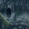 Mr. reaper in the forest van Elianne van Turennout