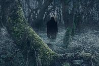 Mr. reaper in the forest par Elianne van Turennout Aperçu