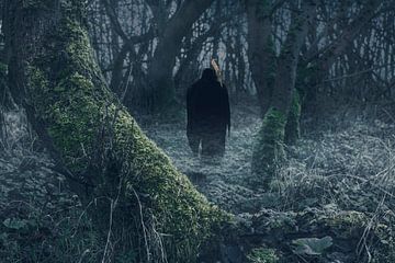 Mr. reaper in the forest von Elianne van Turennout