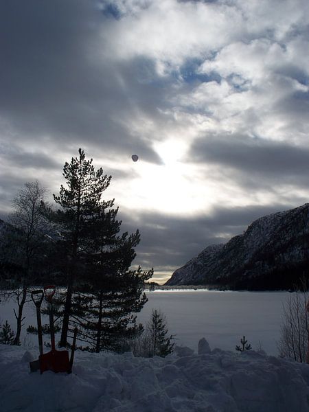Winter  by Danielle van der Kolk