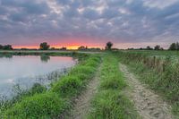 Coucher du soleil près de la plaque bluejackets (Brabantse Biesbosch)