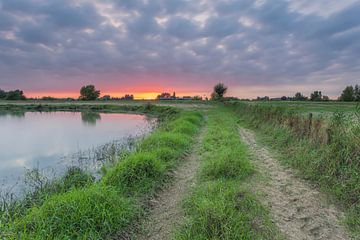 Sonnenuntergang in der Nähe der Bluejackets Platte (Brabantse Biesbosch) von Adrian Visser