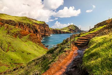 Schilderachtig wandelpad op het oostelijke puntje van het eiland Madeira, Portugal van Raphael Koch