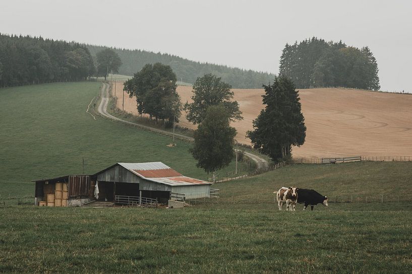 Platteland in België van Paulien van der Werf