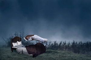 Sleeping Beauty by Elianne van Turennout