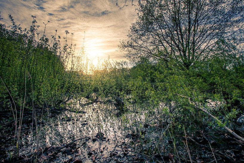 Surroundings of estate Haanwijk by Marcel Bakker