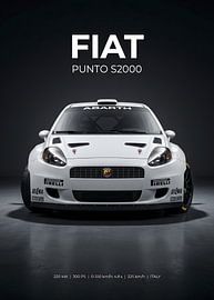 Vue de face d'une Fiat Punto S2000 blanche de rallye, photographiée en studio sur Morgan