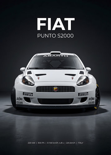 Vooraanzicht van een witte Fiat Punto S2000-rallyauto in een studio-omgeving