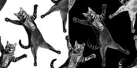Foolish Cat in White & Black by Artmotifs Eve